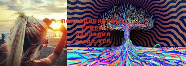 мефедрон мука Магас