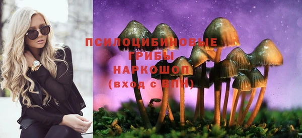 марки lsd Медногорск