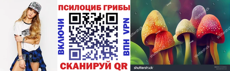 Галлюциногенные грибы Psilocybine cubensis где купить наркоту Нурлат