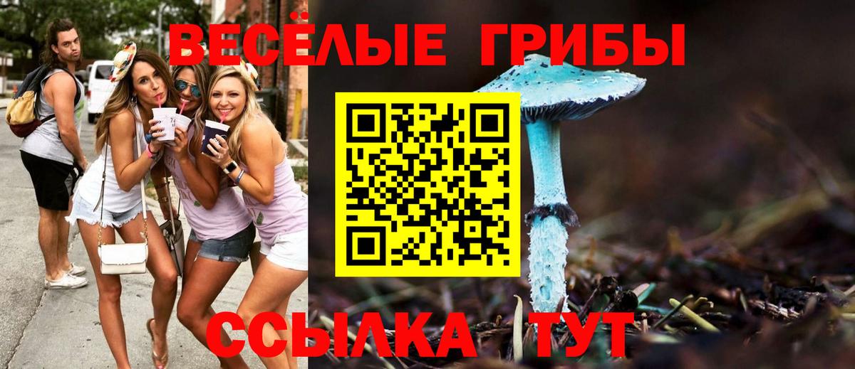 Галлюциногенные грибы GOLDEN TEACHER Нурлат