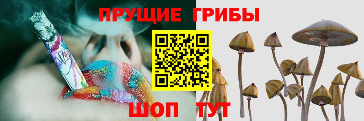 Нурлат  Псилоцибиновые грибы Psilocybine cubensis  Псилоцибиновые грибы мицелий  Вход с VPN 