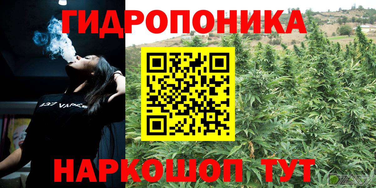 Каннабис план  Вход с VPN  Нурлат  Бошки Шишки планчик  Конопля индика  Марихуана гибрид 